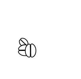 Wetu-logo-white
